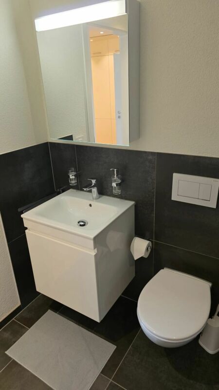 Appartement meublé de 3 ½ pièces