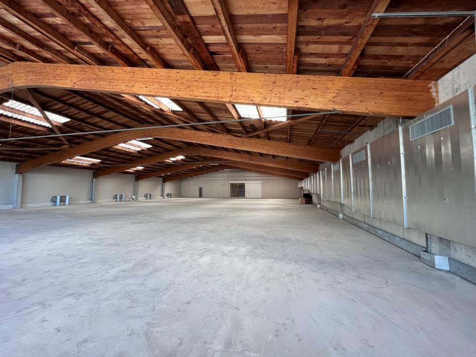 900m² commercial, photo 6 of 7