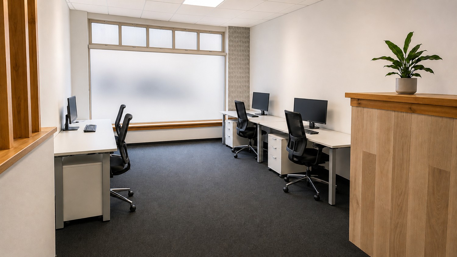 56m² commerciale