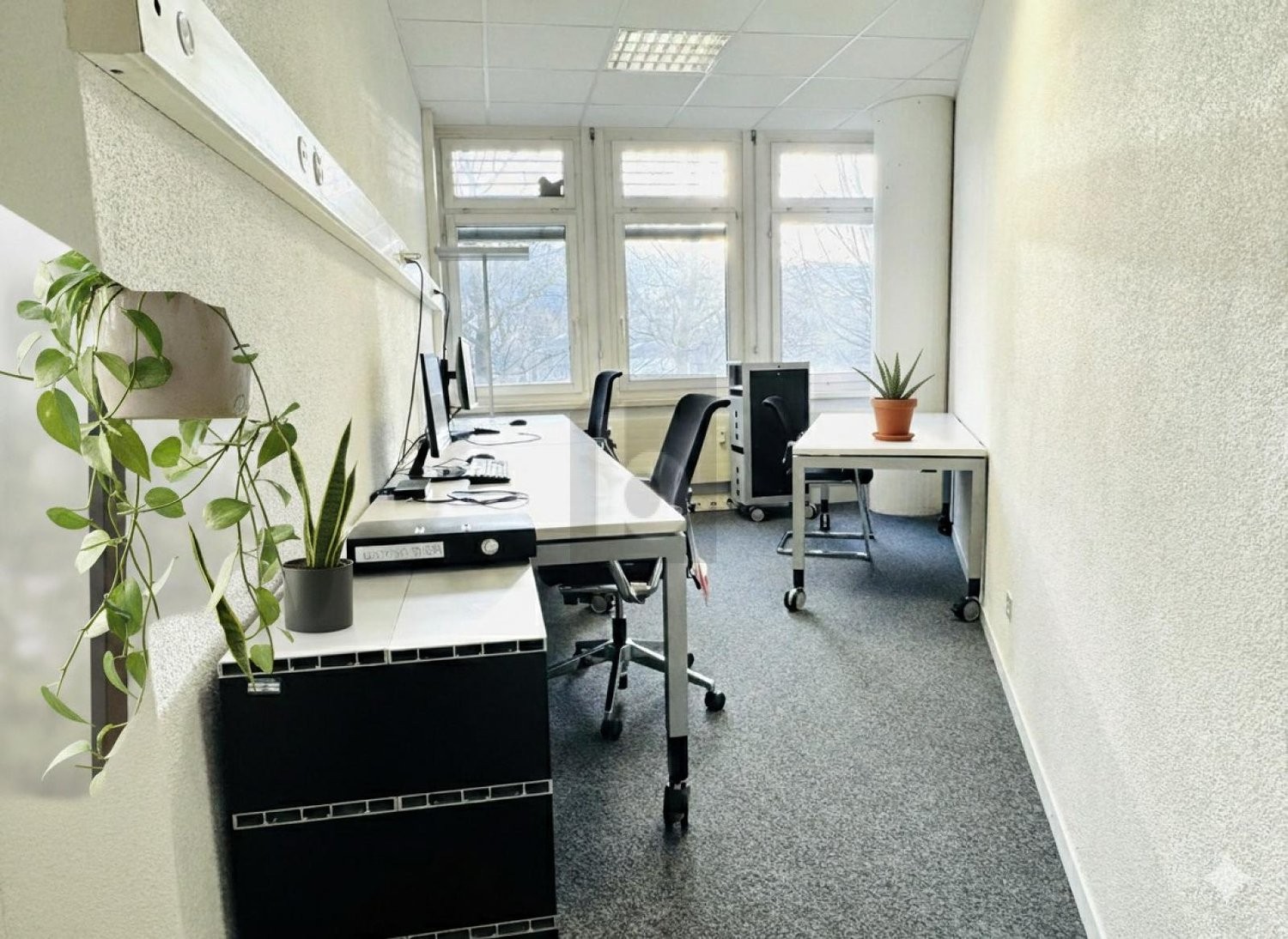 250m² office, photo 2 of 4