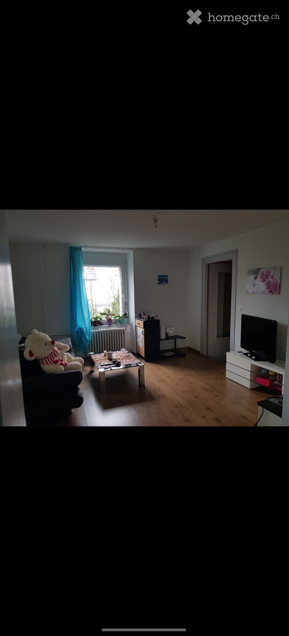 Appartamento di 3 ½ locali