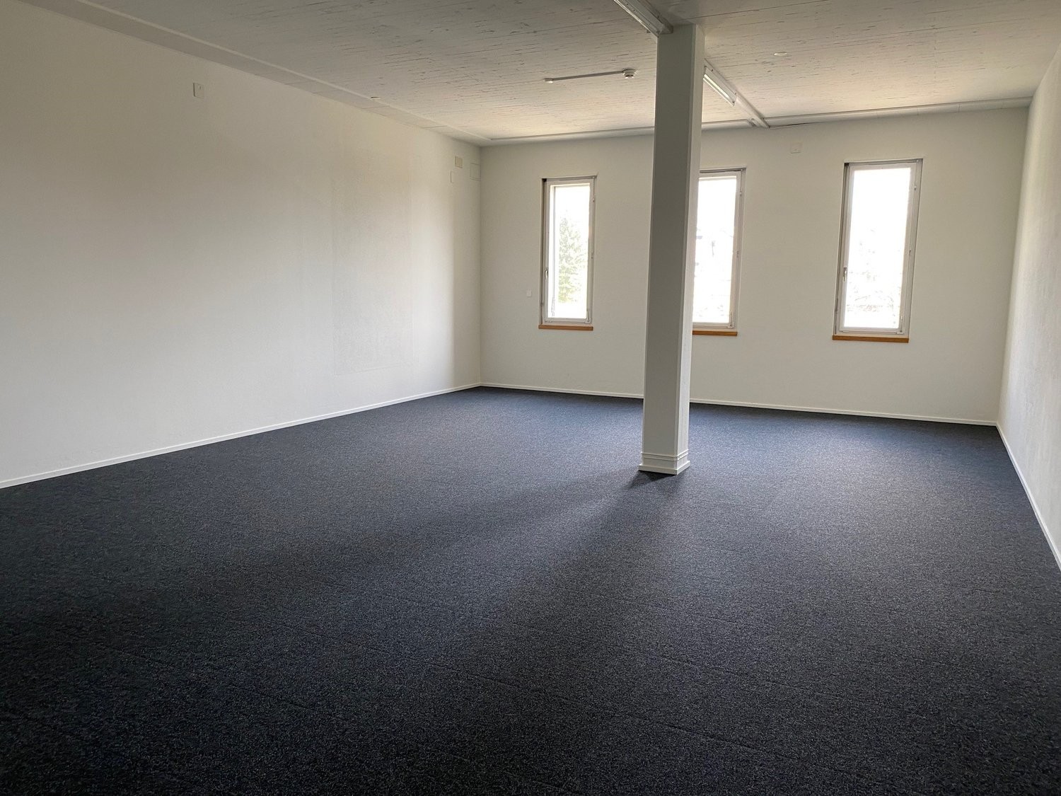 145m² commercial, photo 4 of 5