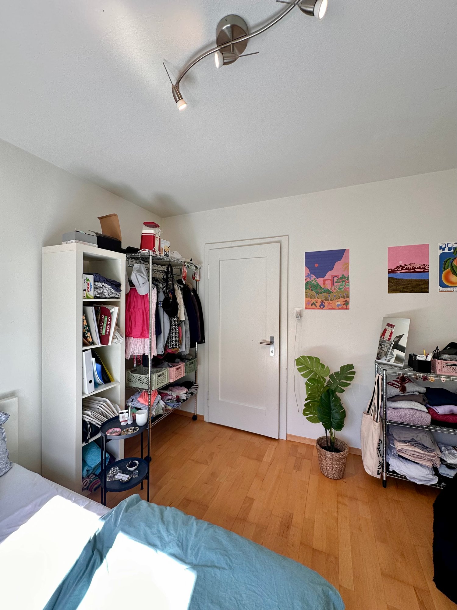 Room in a shared flat