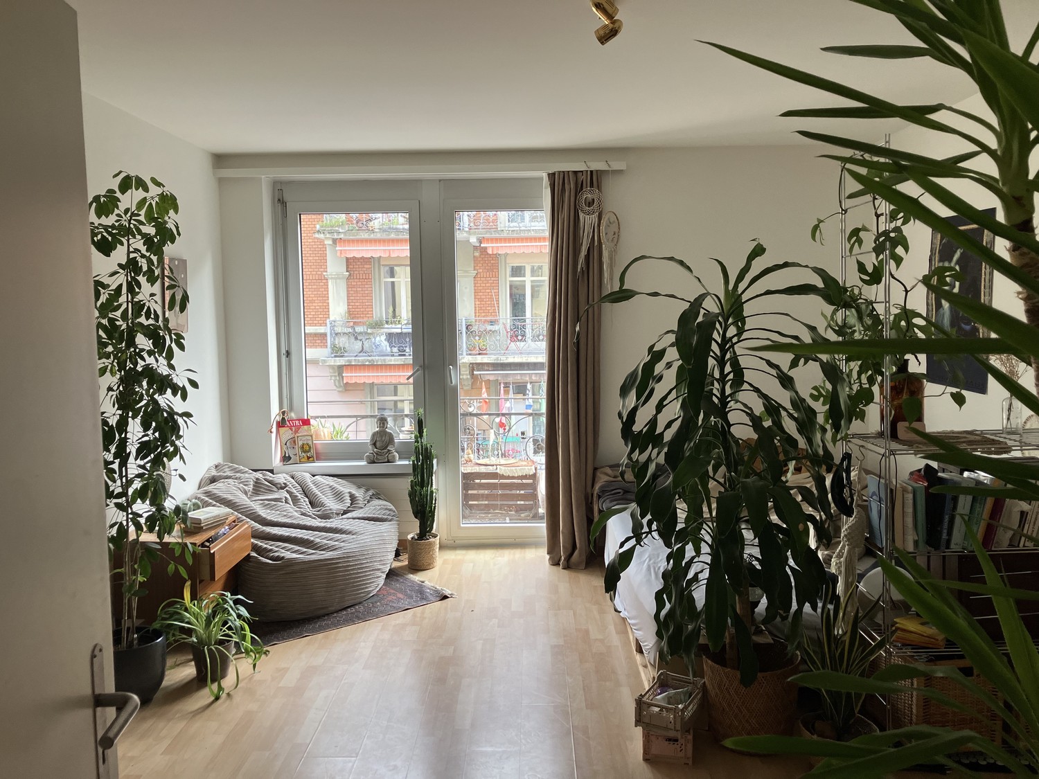 Room in a shared flat