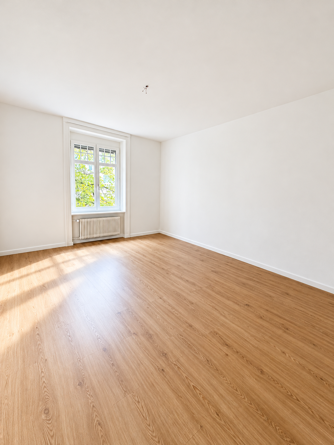 Appartement 1 pièce