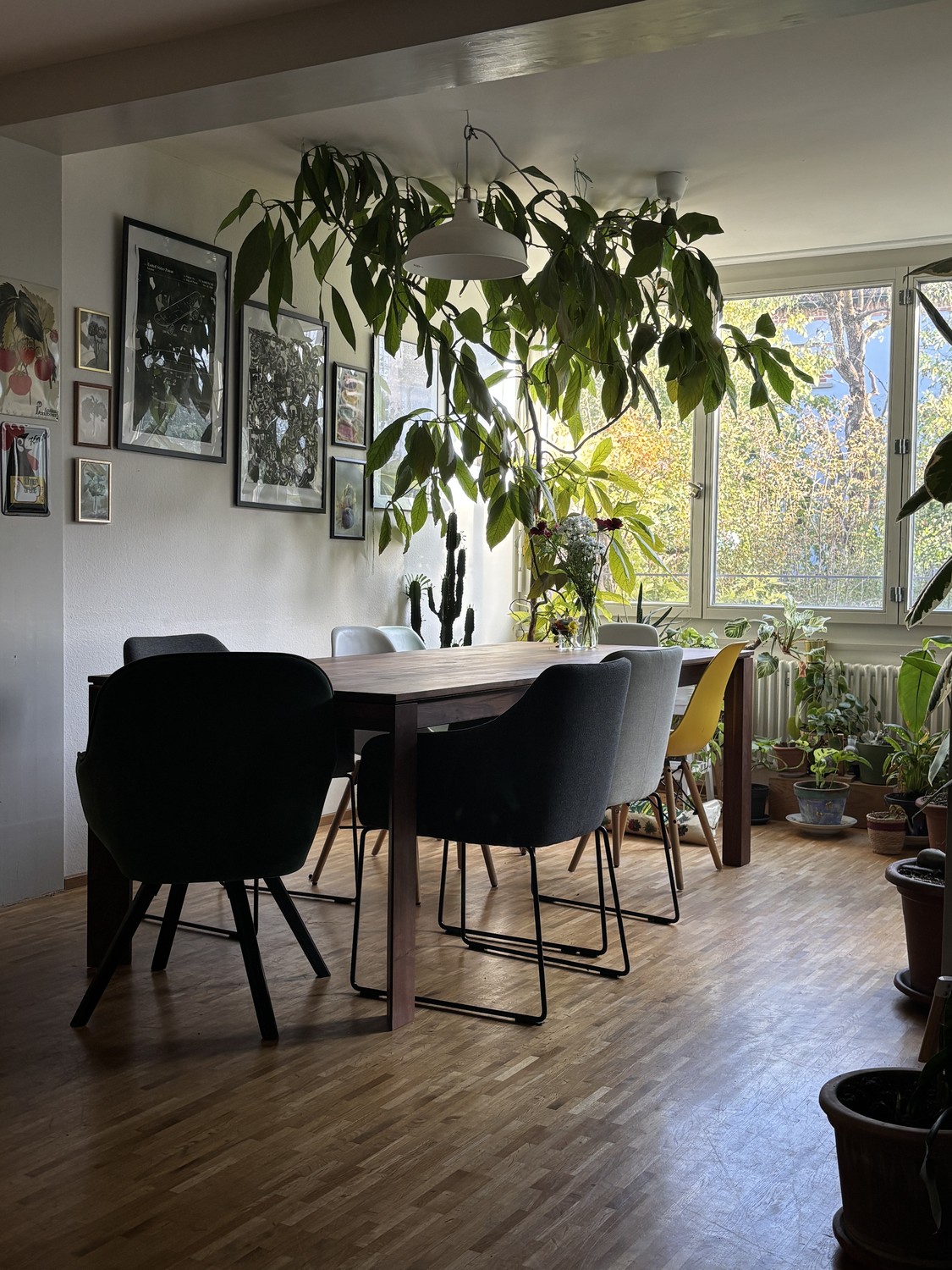 Stanza in un appartamento condiviso