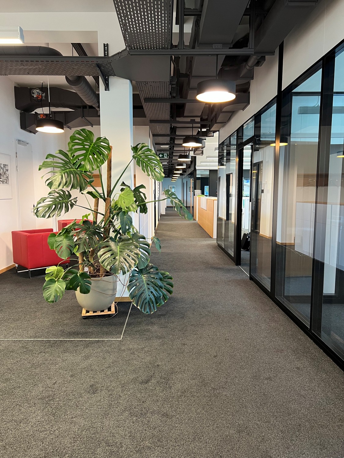 442m² office, photo 6 of 9