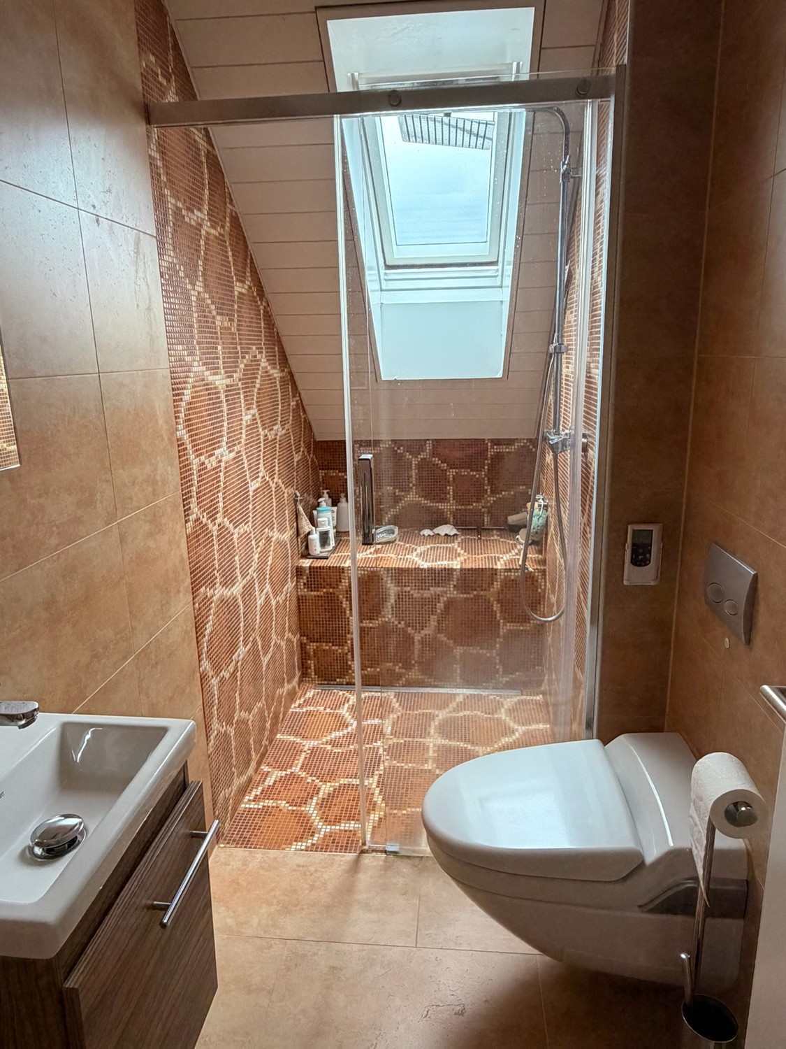 5 ½ rooms apartment