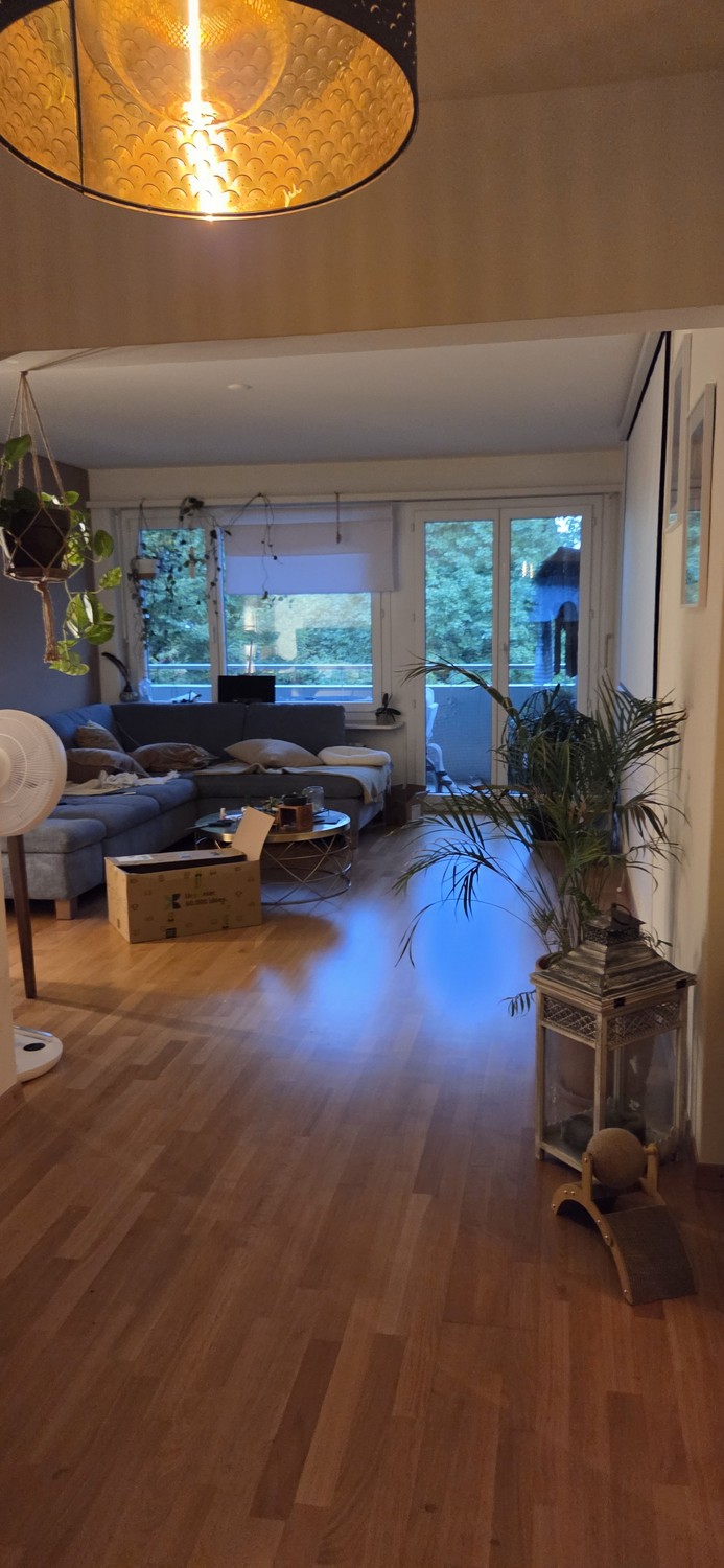 4 ½ rooms apartment, photo 4 of 7
