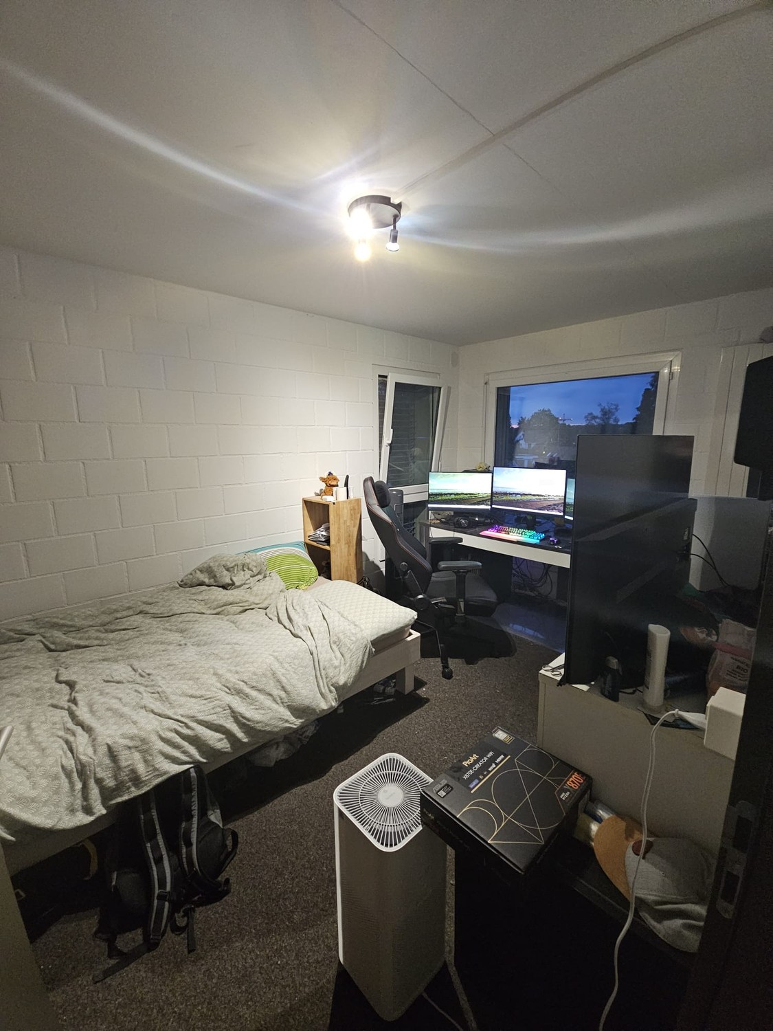 Room in a shared flat