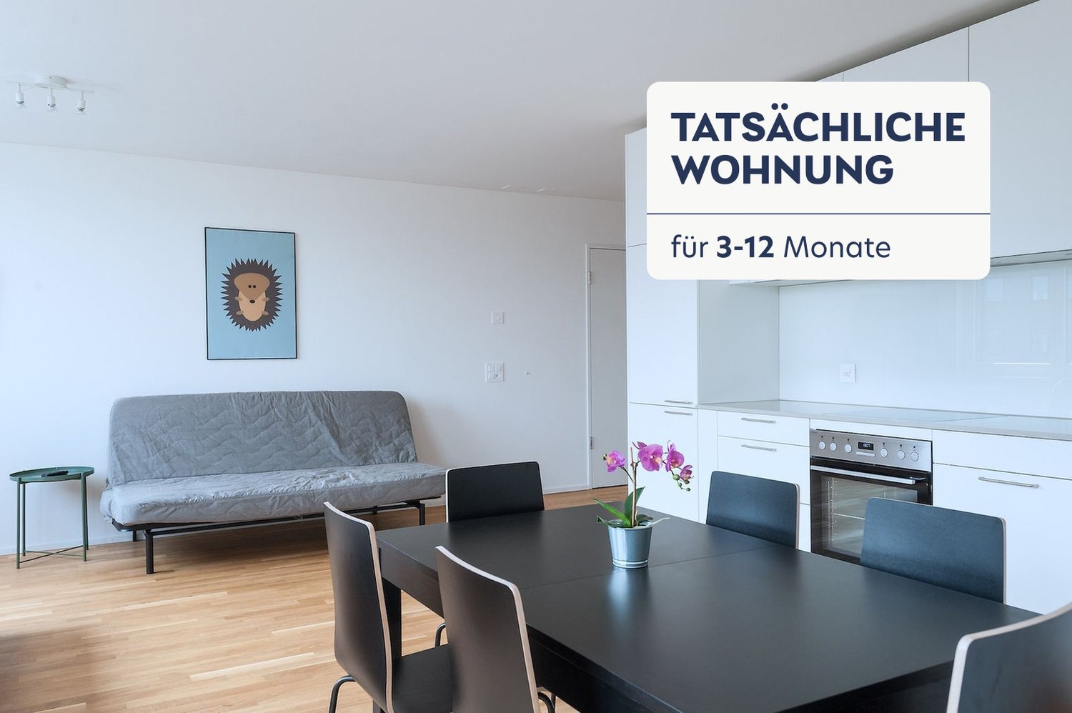 appartement meublé 1 pièce