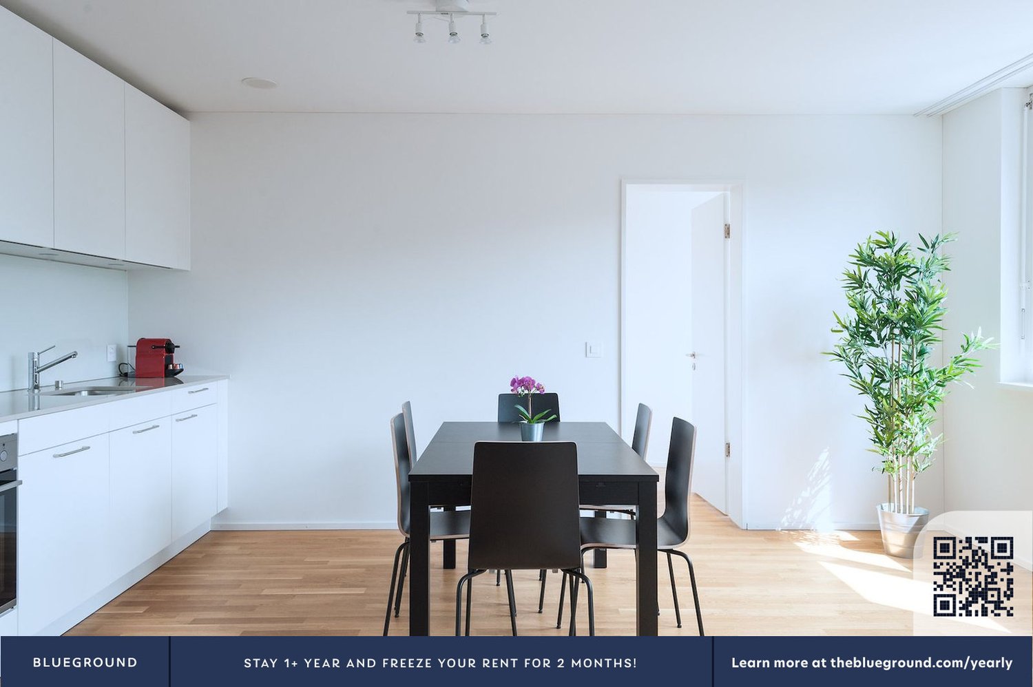 appartement meublé 1 pièce