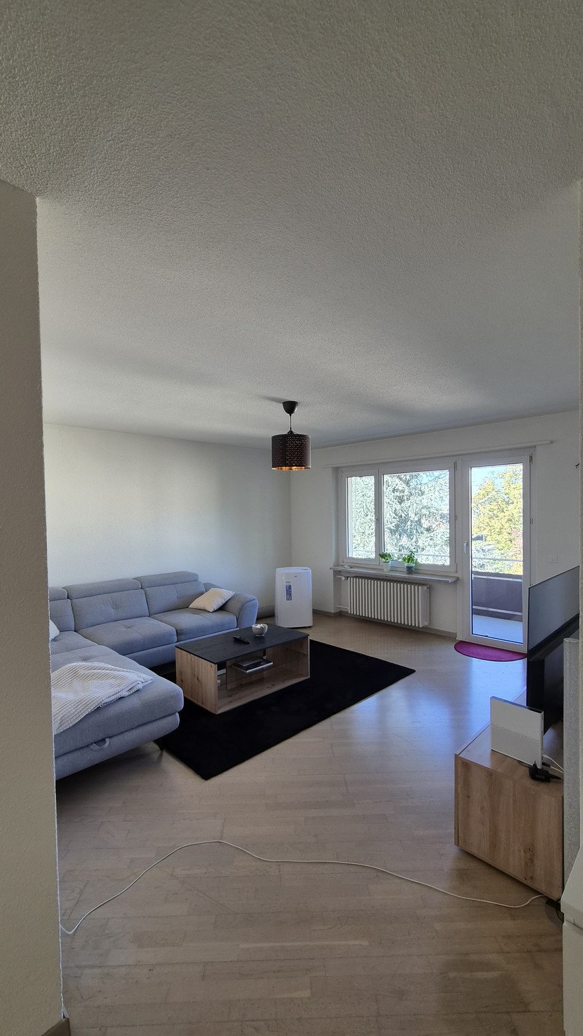 4 ½ rooms apartment