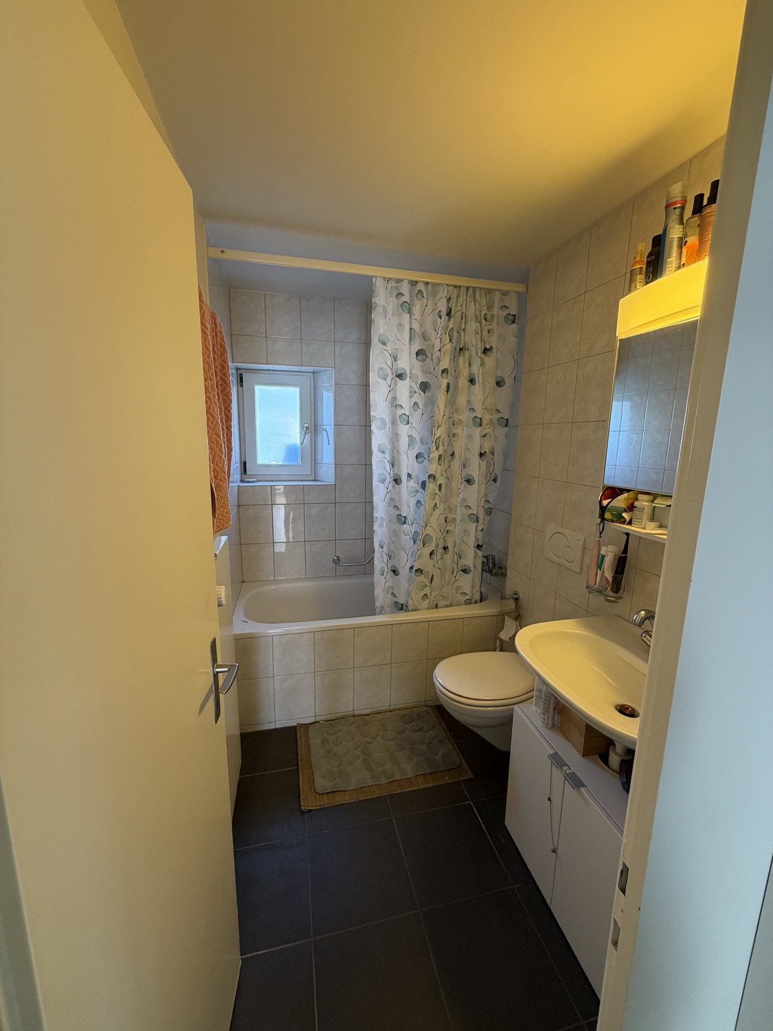 3 ½ rooms apartment, photo 4 of 8