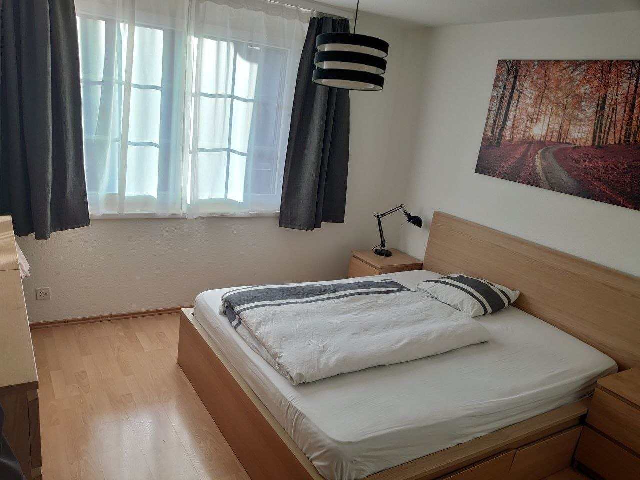 4 ½ rooms furnished flat
