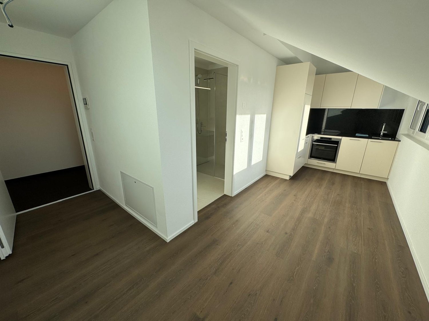 1 room apartment