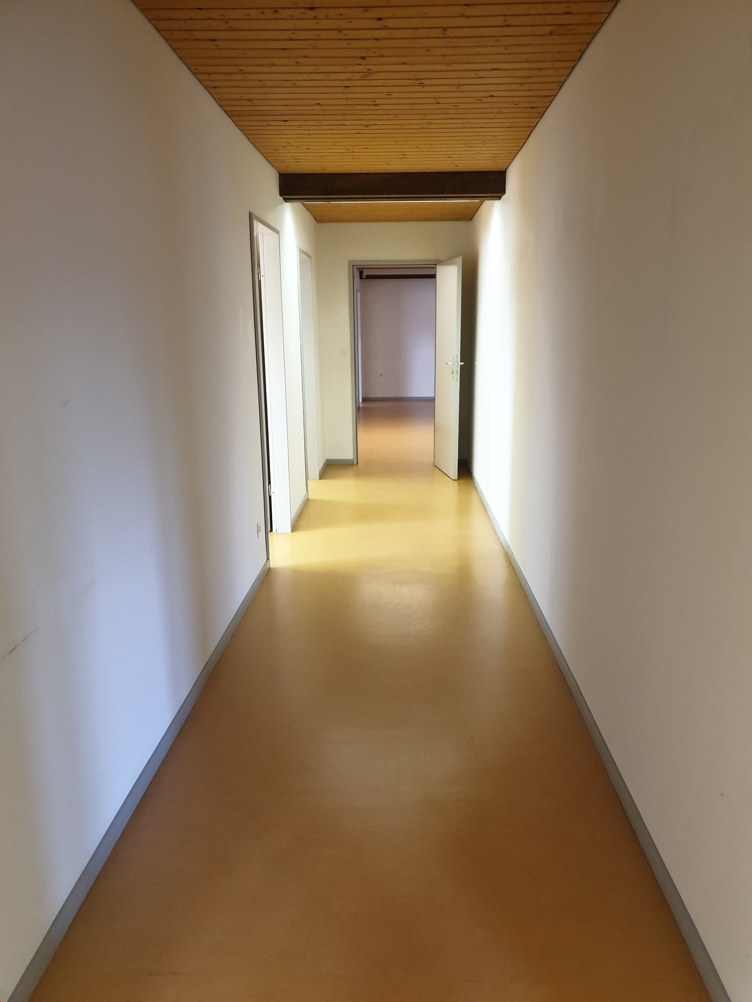 290m² office