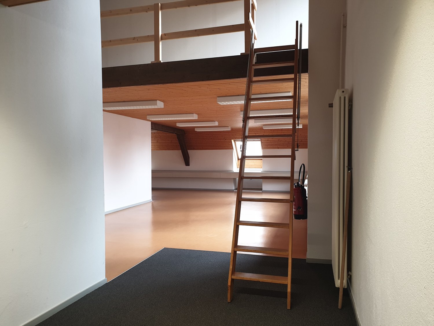 290m² office