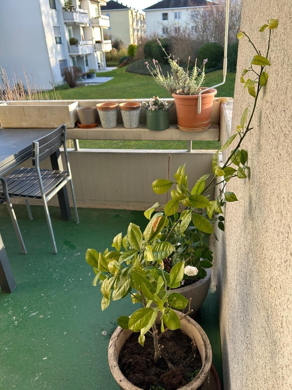 Appartamento di 2 ½ locali, foto 5 di 10