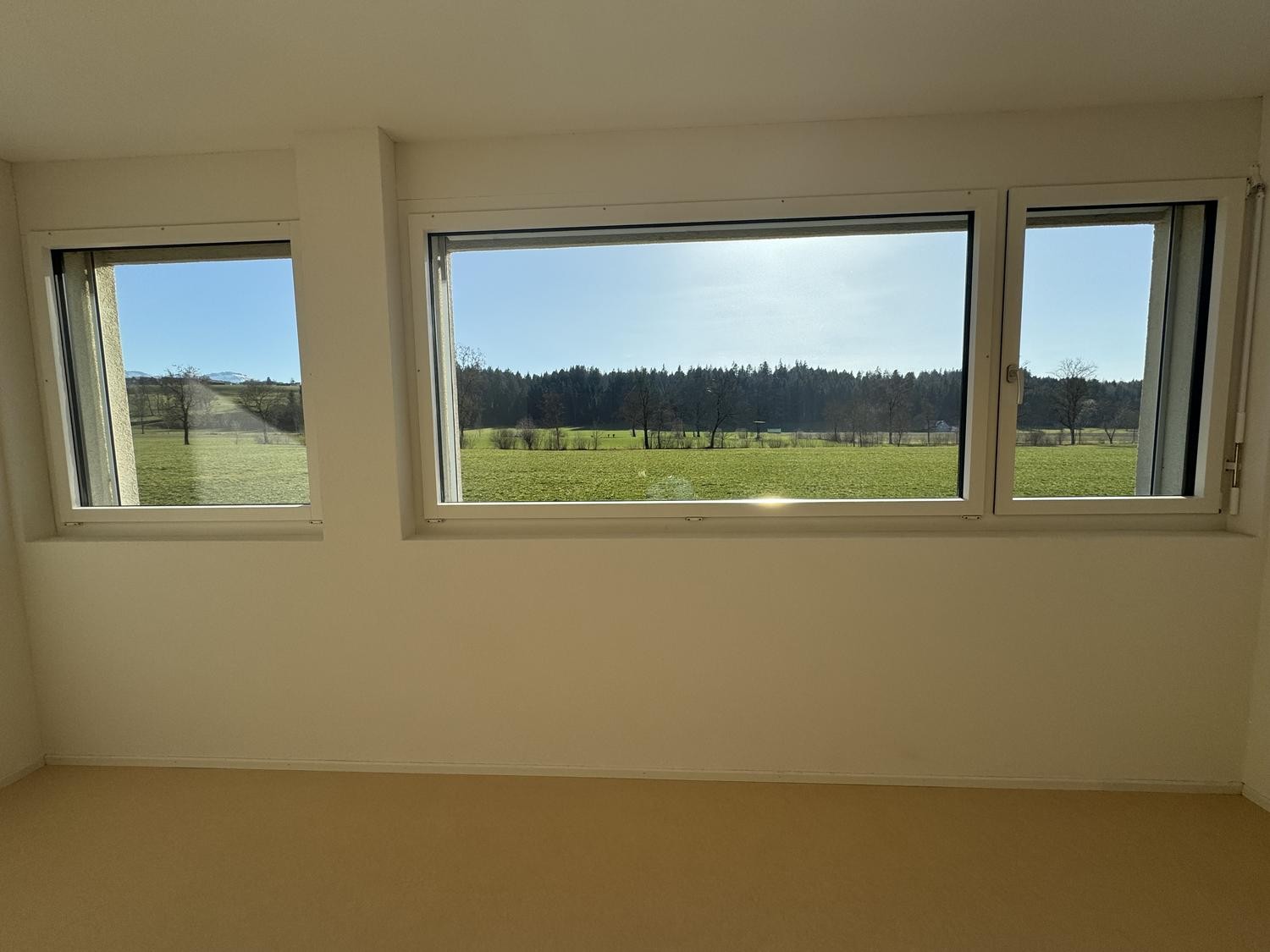 52m² commercial, photo 3 of 5