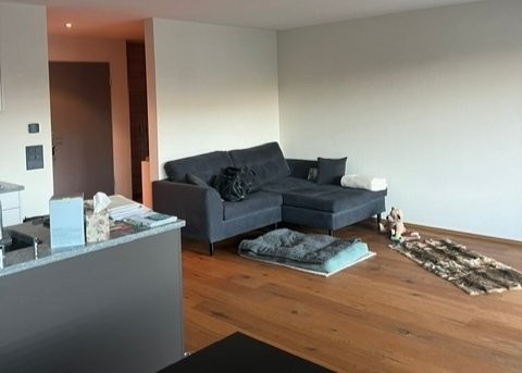 appartamento arredato di 1 ½ locali