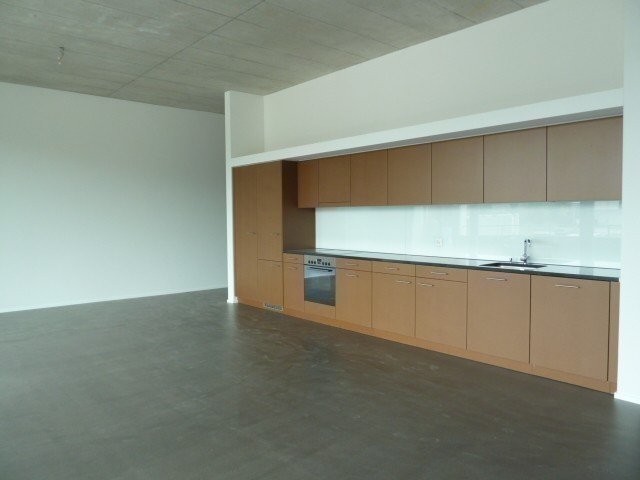 3 ½ pièces loft