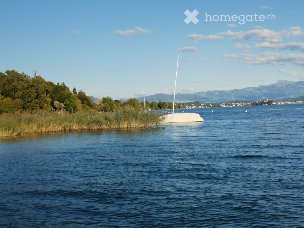 1 Zimmer Einzelzimmer