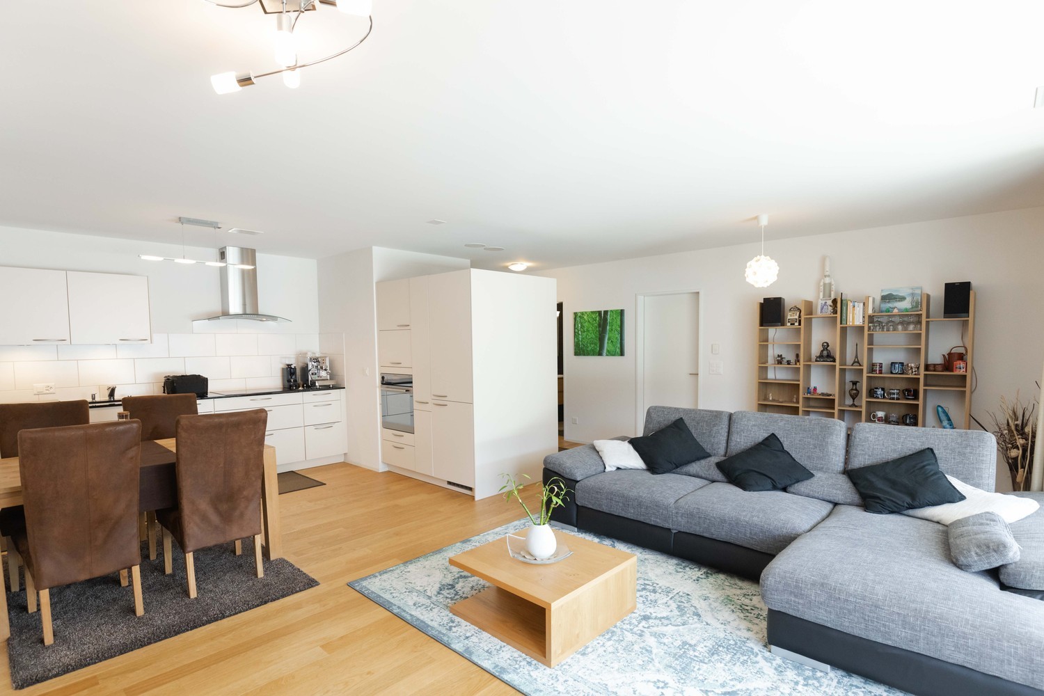Appartement de 2 ½ pièces