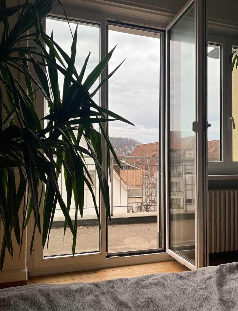 2 ½ rooms apartment, photo 6 of 10