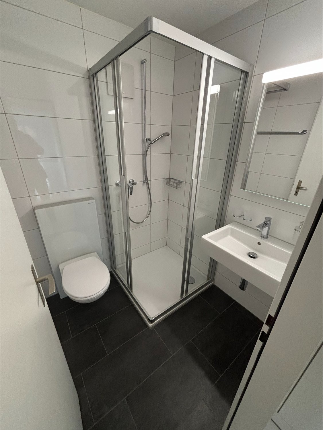 4 ½ rooms apartment (5)