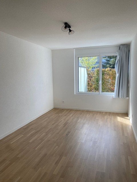 2 ½ Zimmer Wohnung