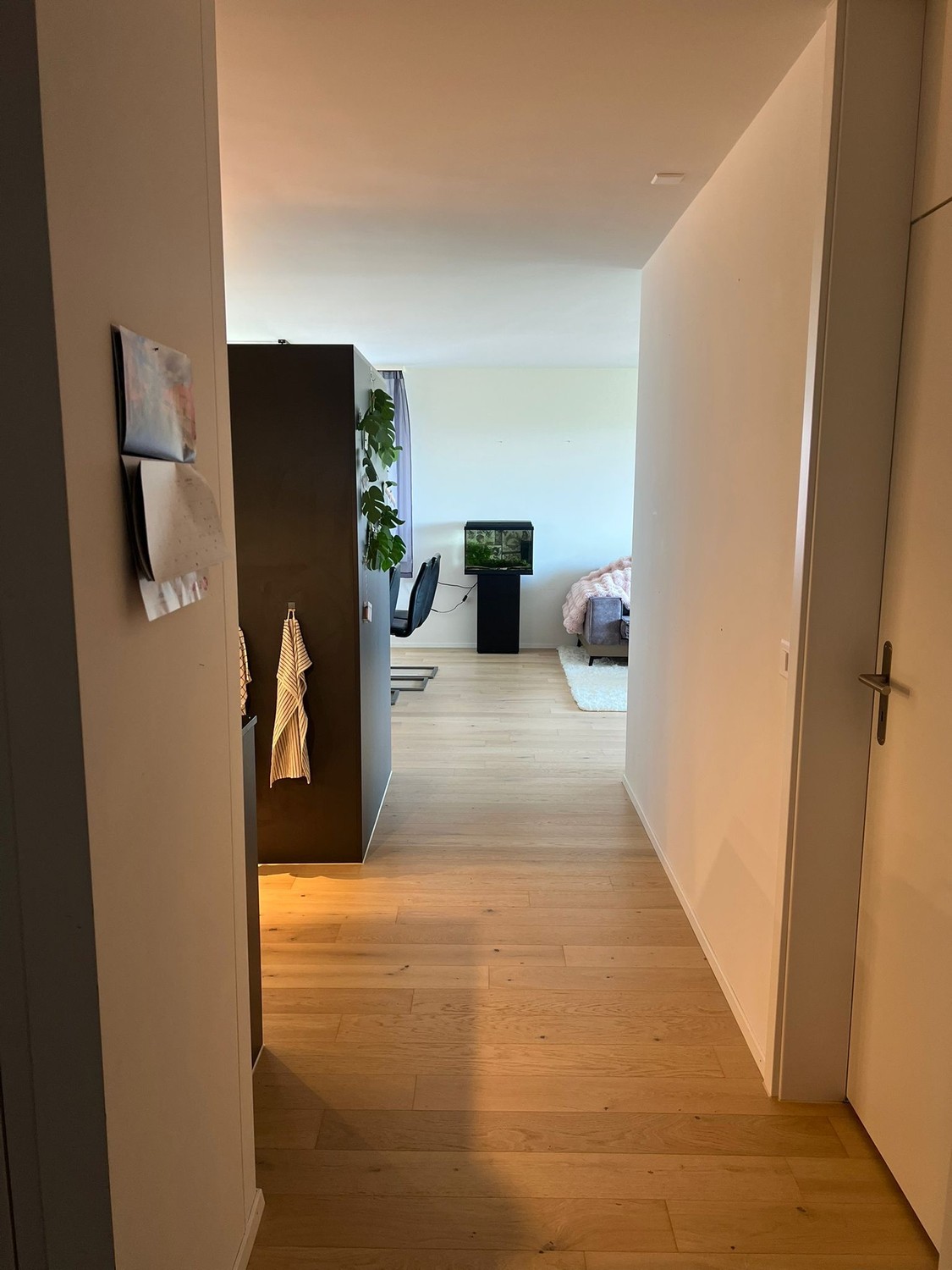 Zimmer in einer WG