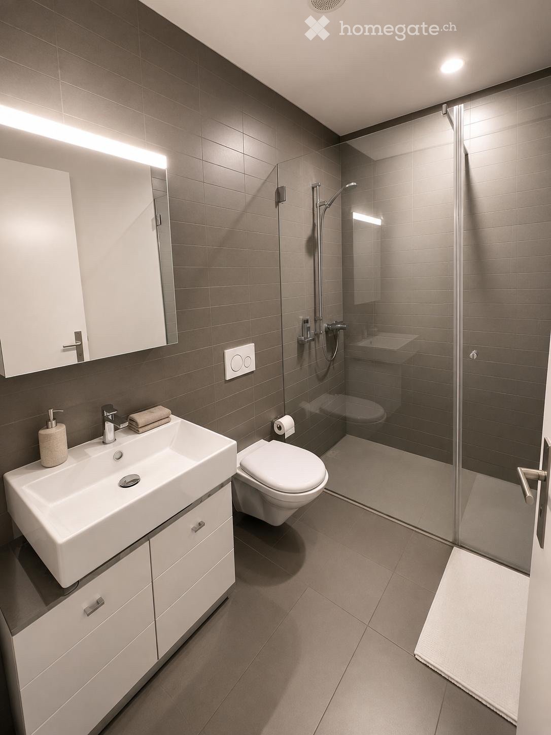 Appartement de 3 ½ pièces