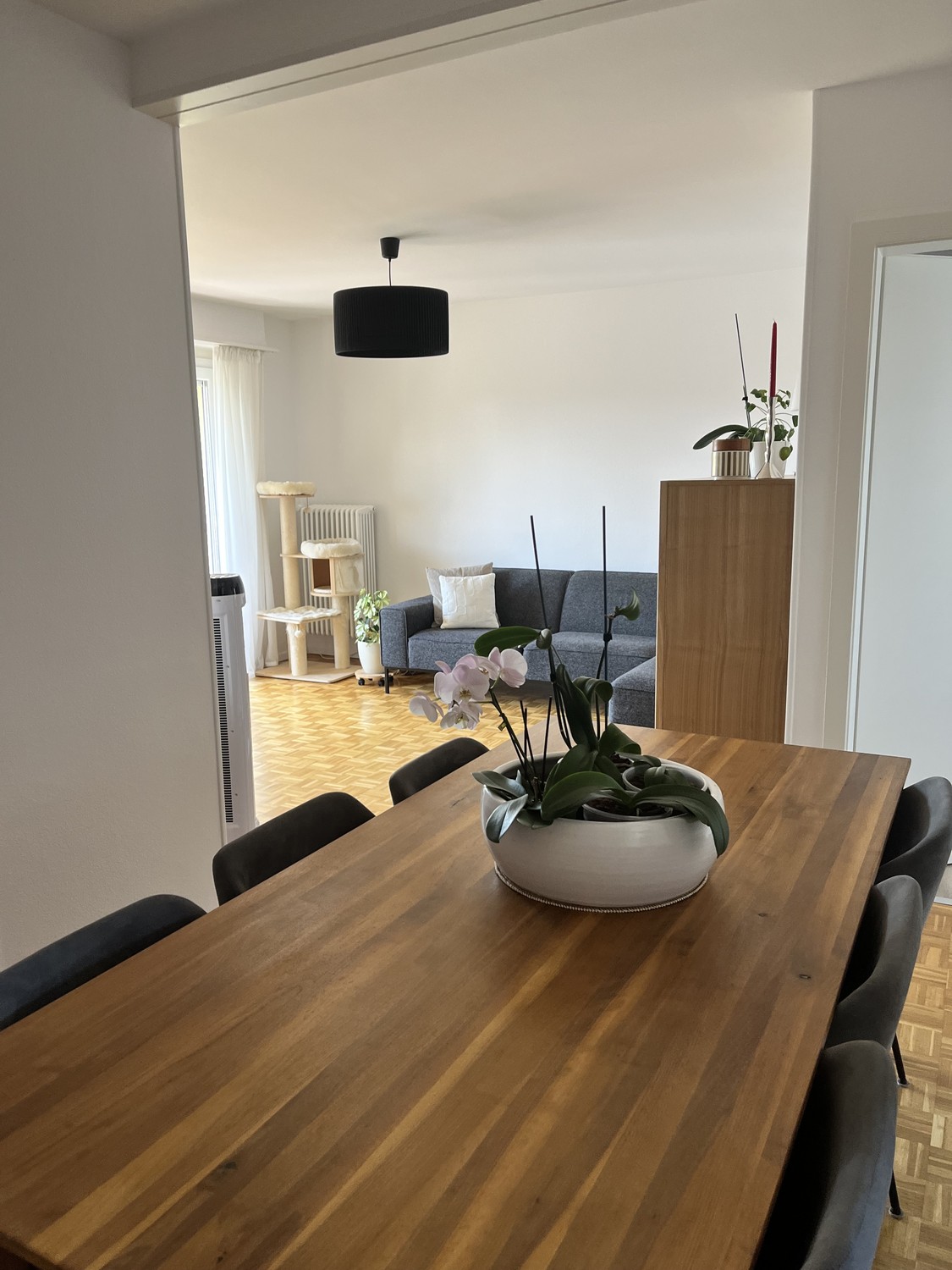 3 ½ Zimmer Wohnung