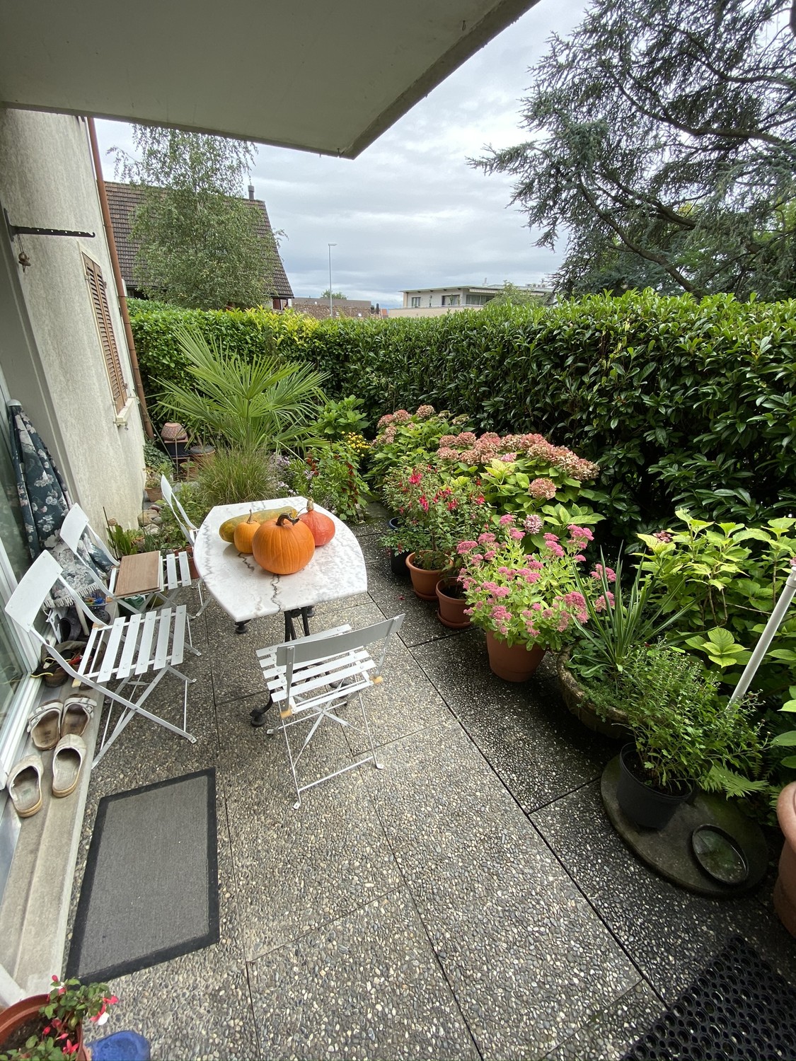2 ½ rooms apartment