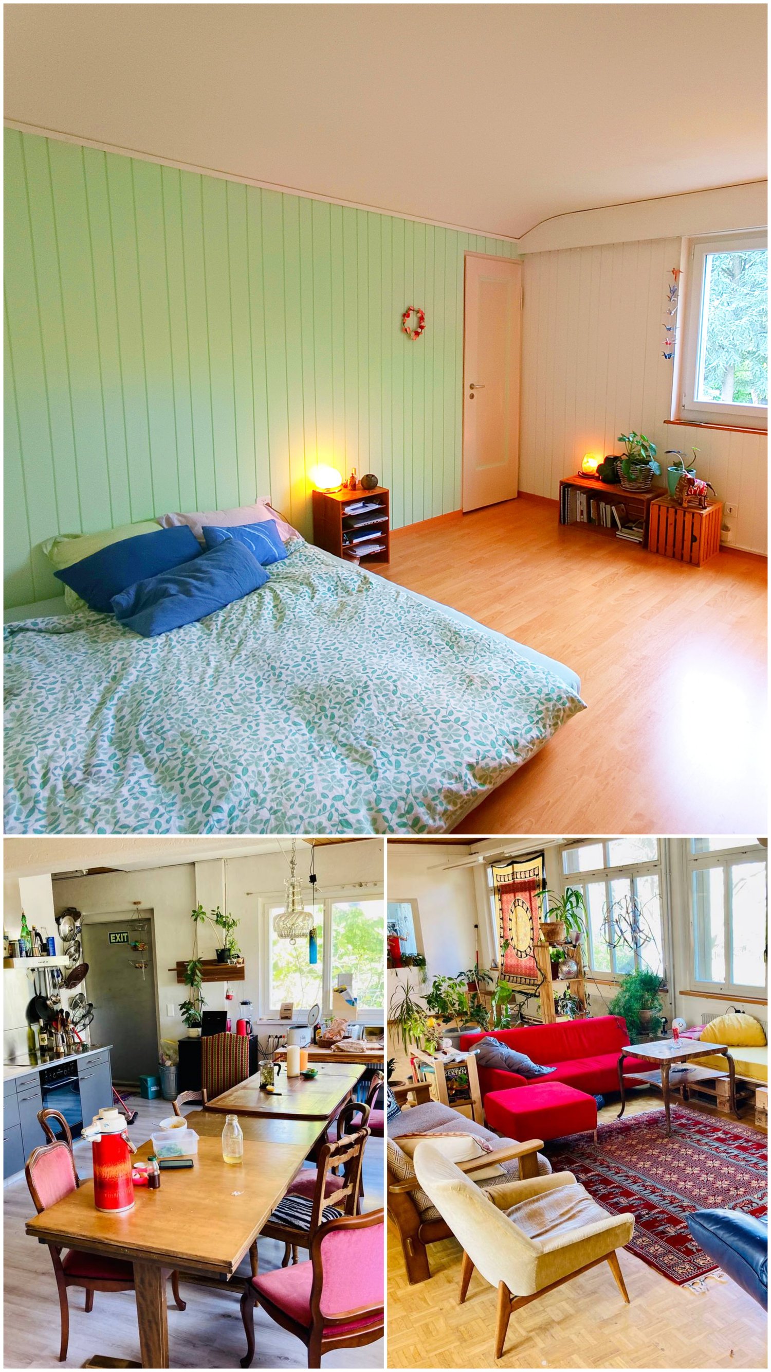 Room in a shared flat
