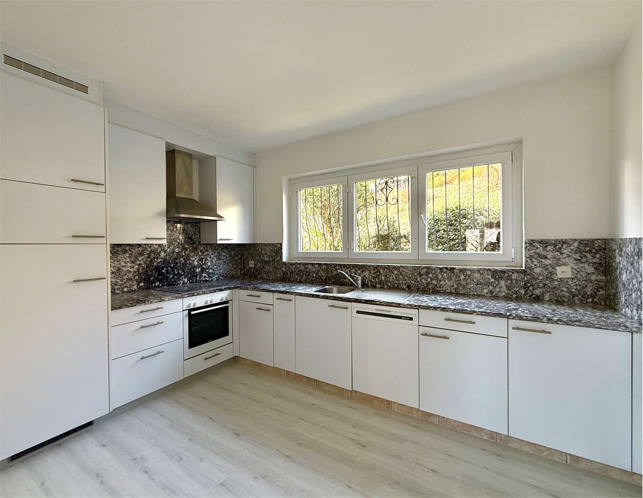 3 ½ rooms apartment (3)