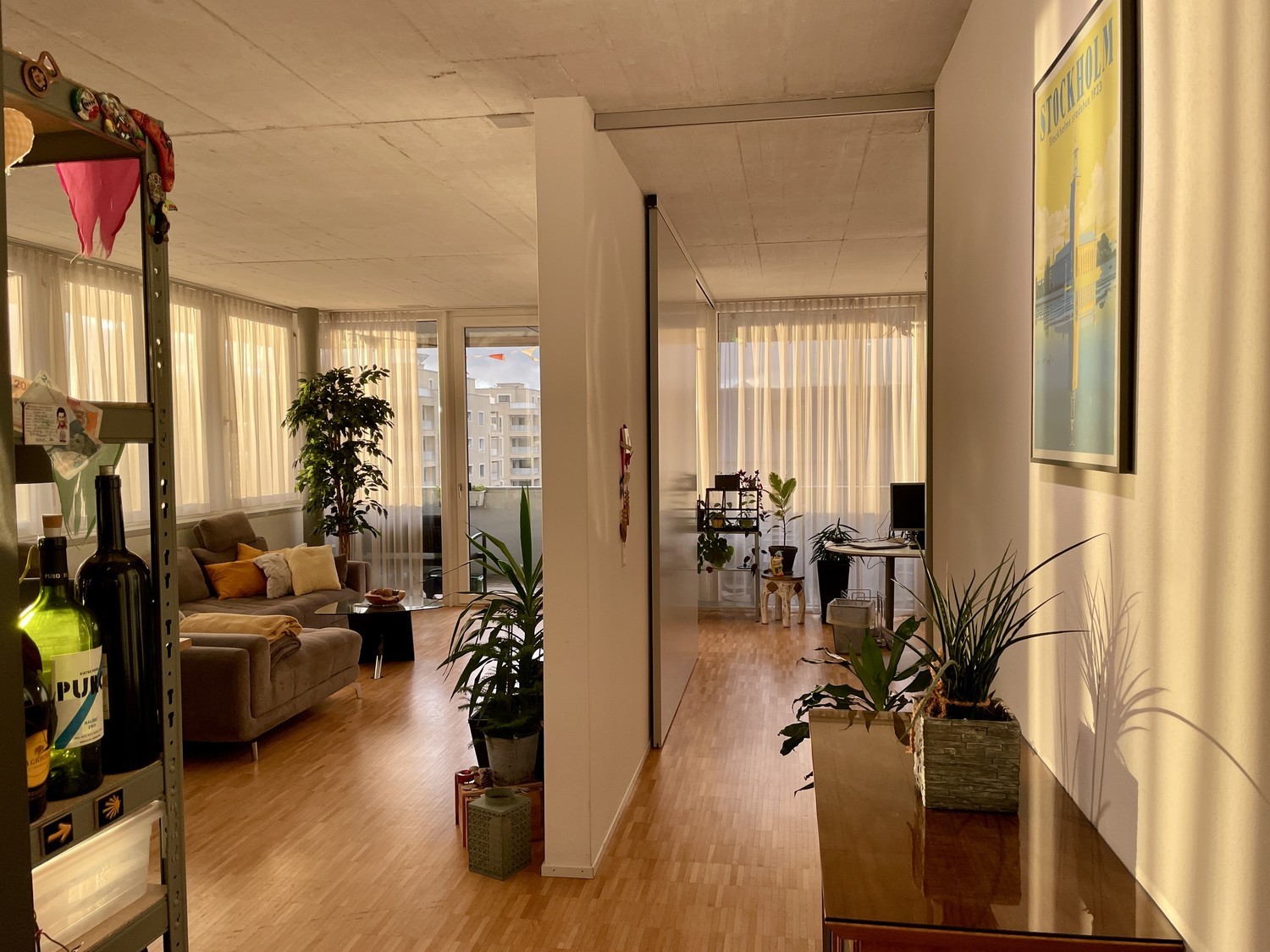 Room in a shared flat