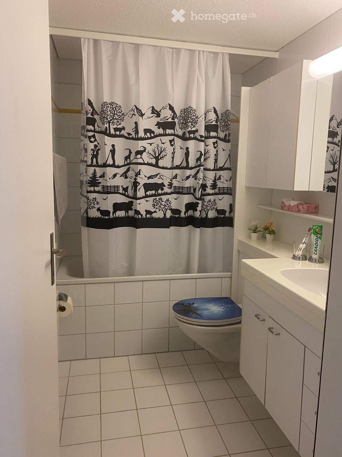 2 ½ rooms apartment, photo 4 of 5
