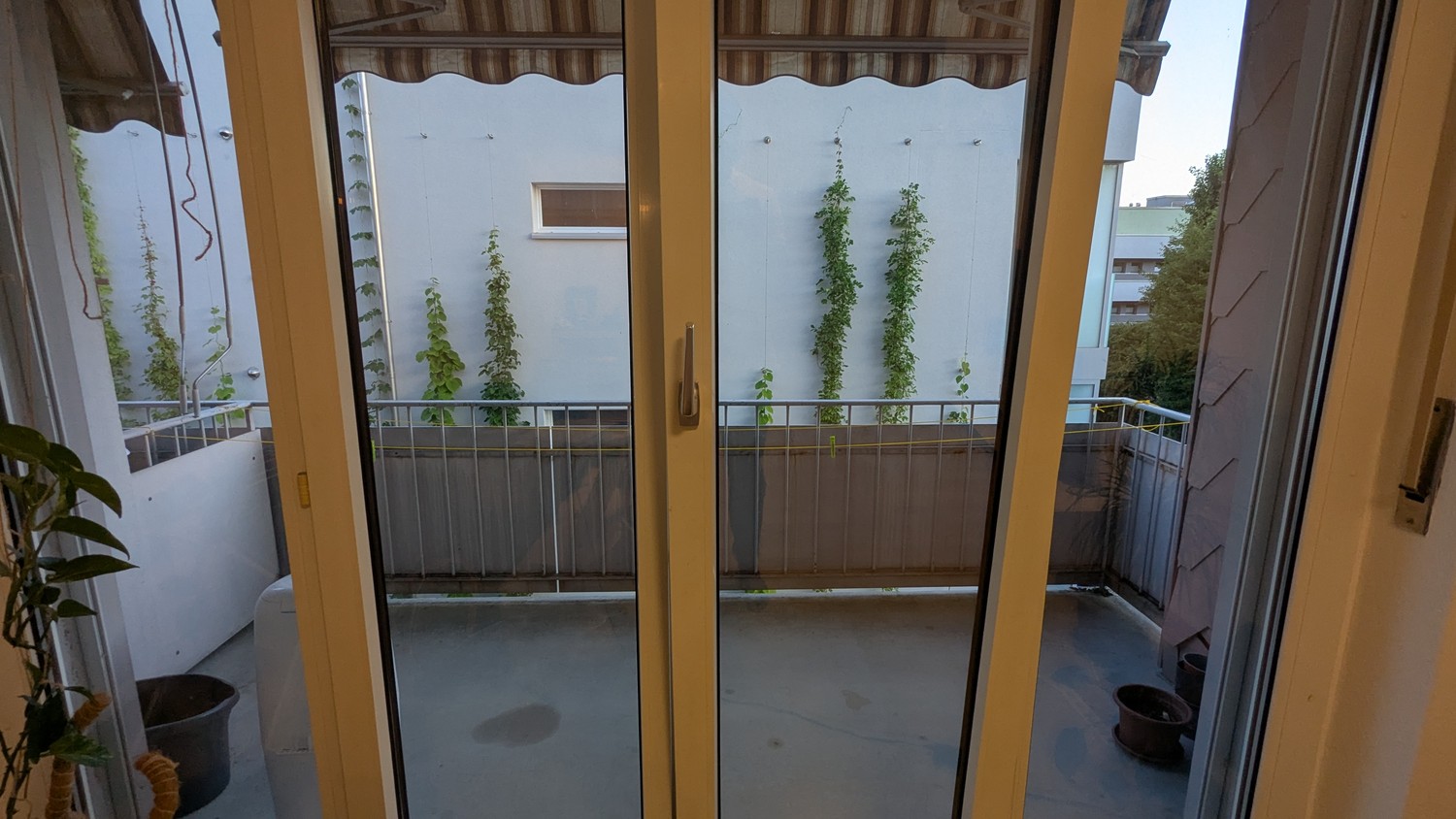 Appartamento di 3 ½ locali, foto 6 di 6