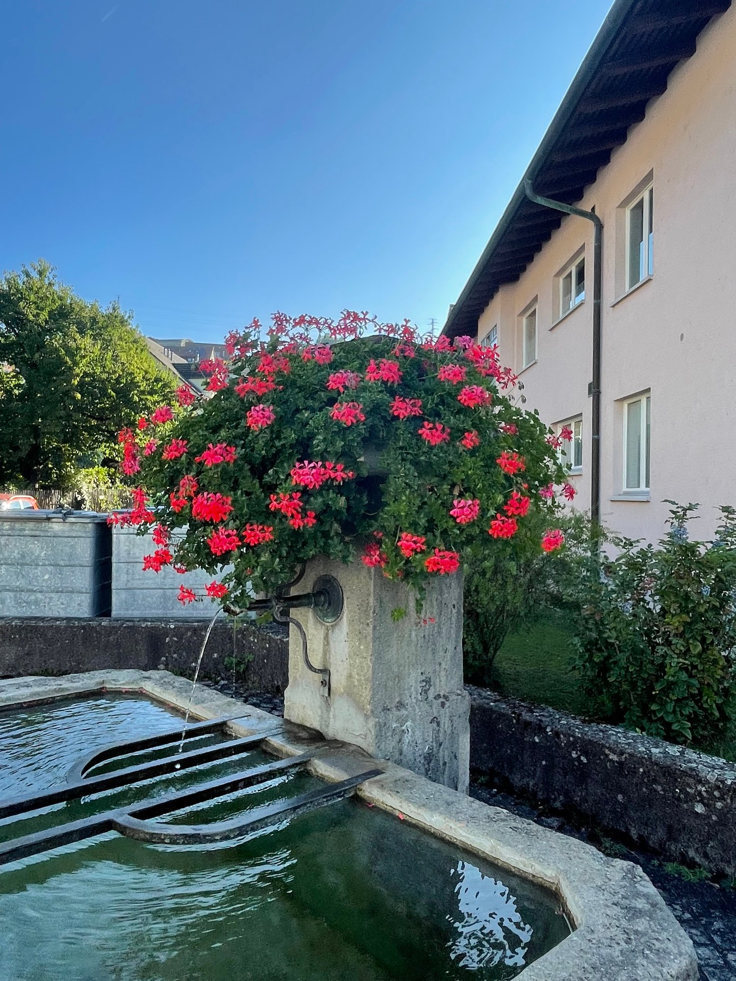 Stanza in un appartamento condiviso, foto 9 di 9