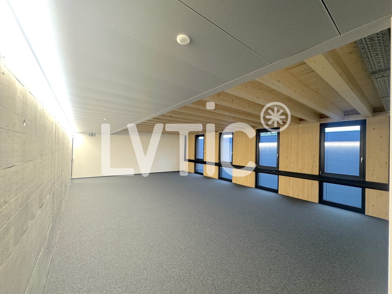 245m² office