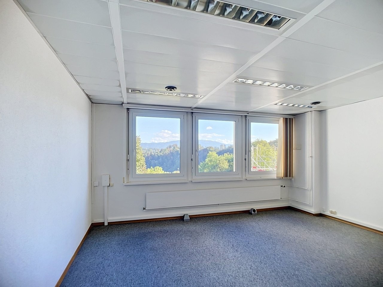 19m² office