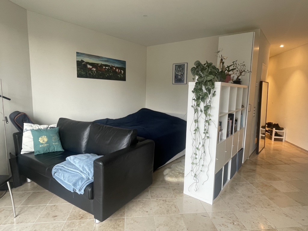 1 ½ rooms apartment, photo 2 of 5