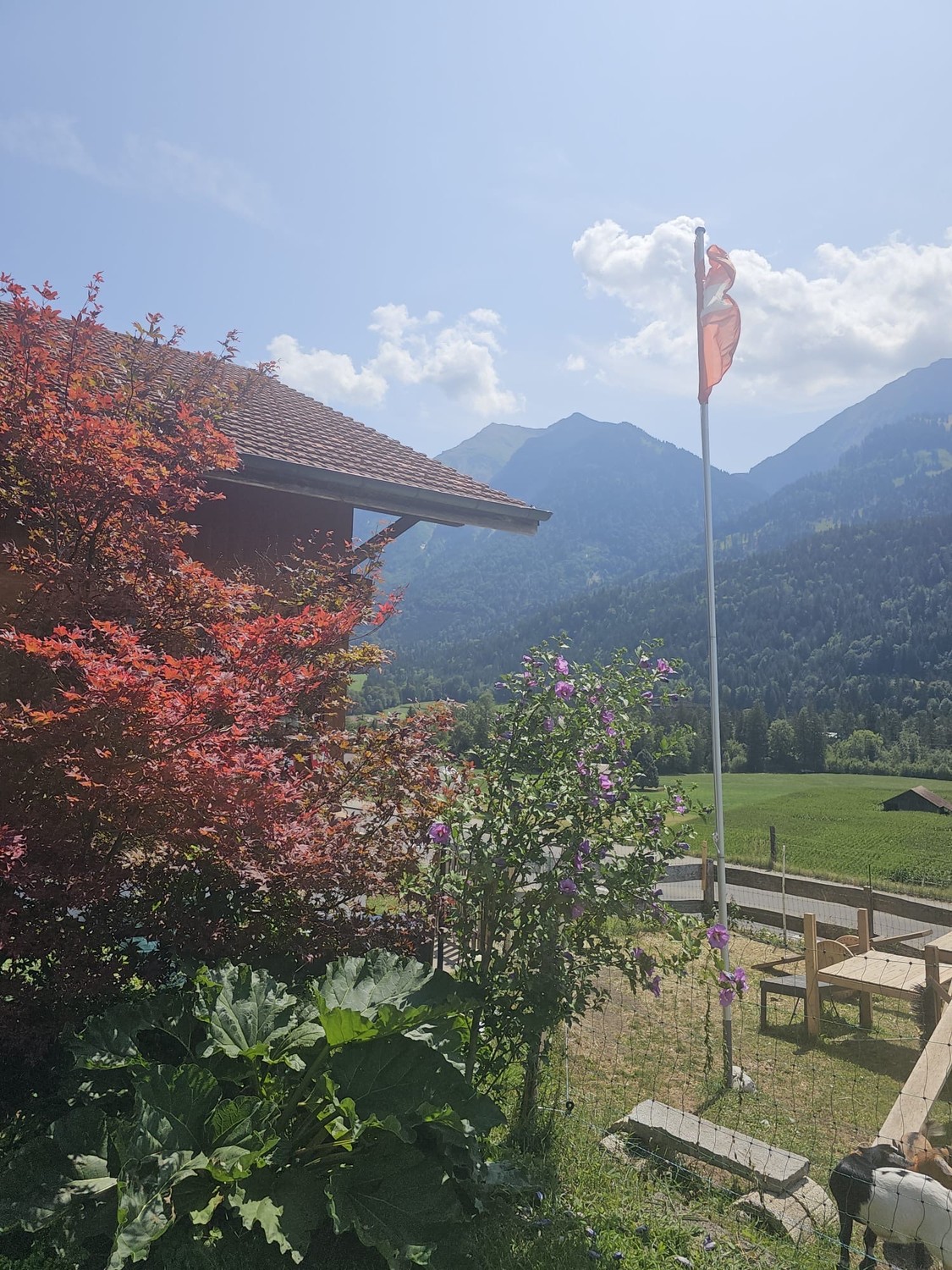Appartement de 5 pièces