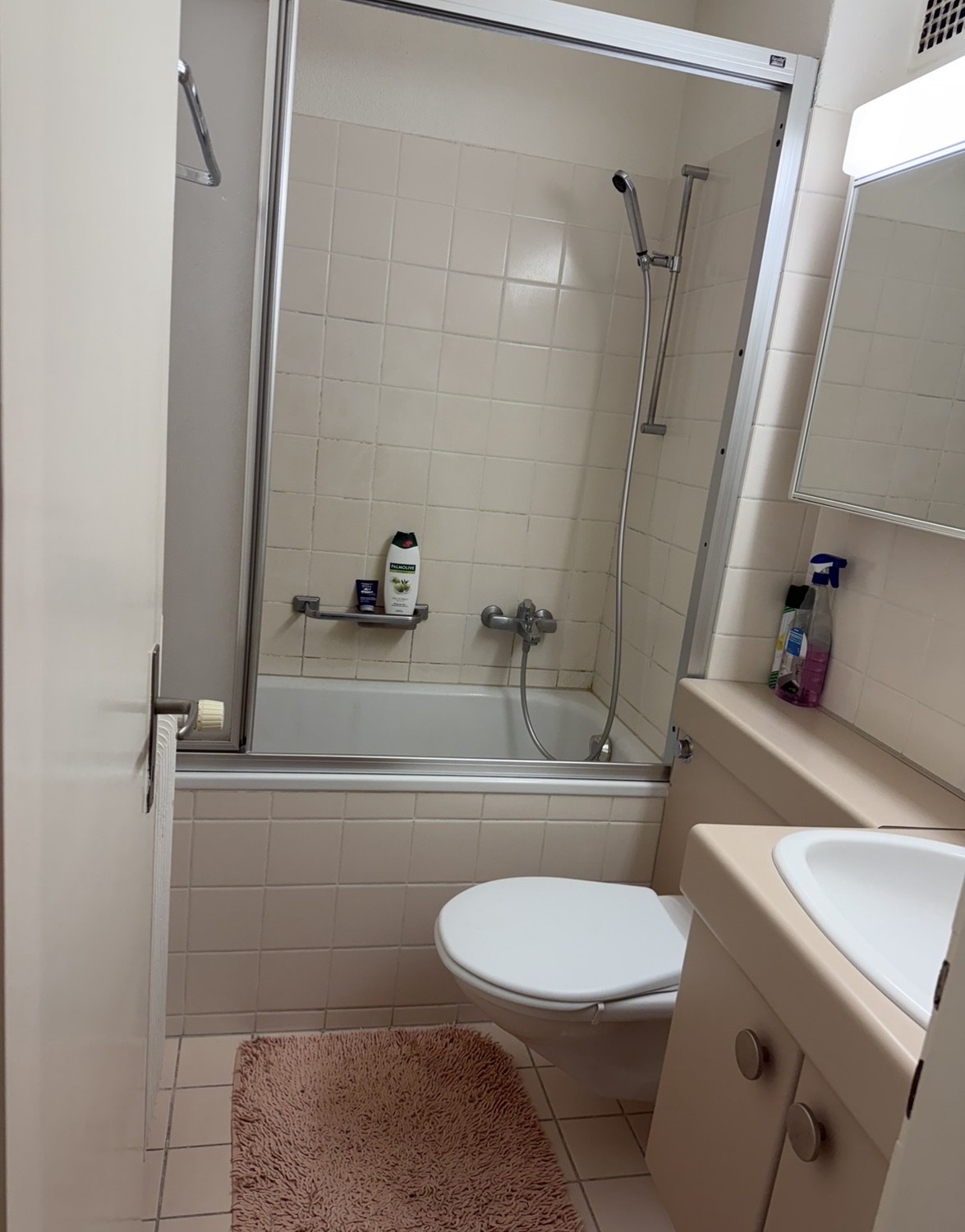 1 ½ Zimmer-Apartment
