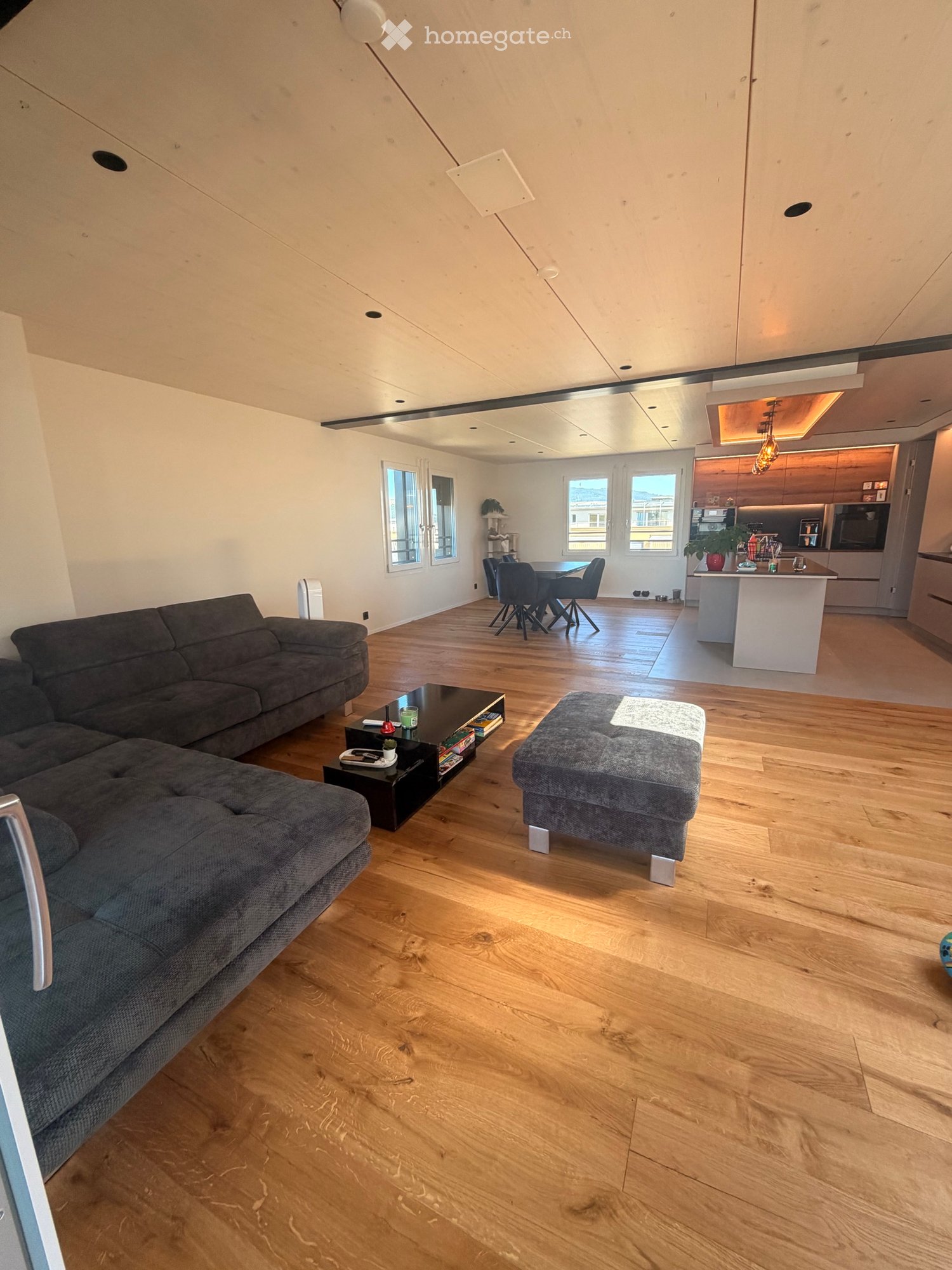5.5 room penthouse apartment