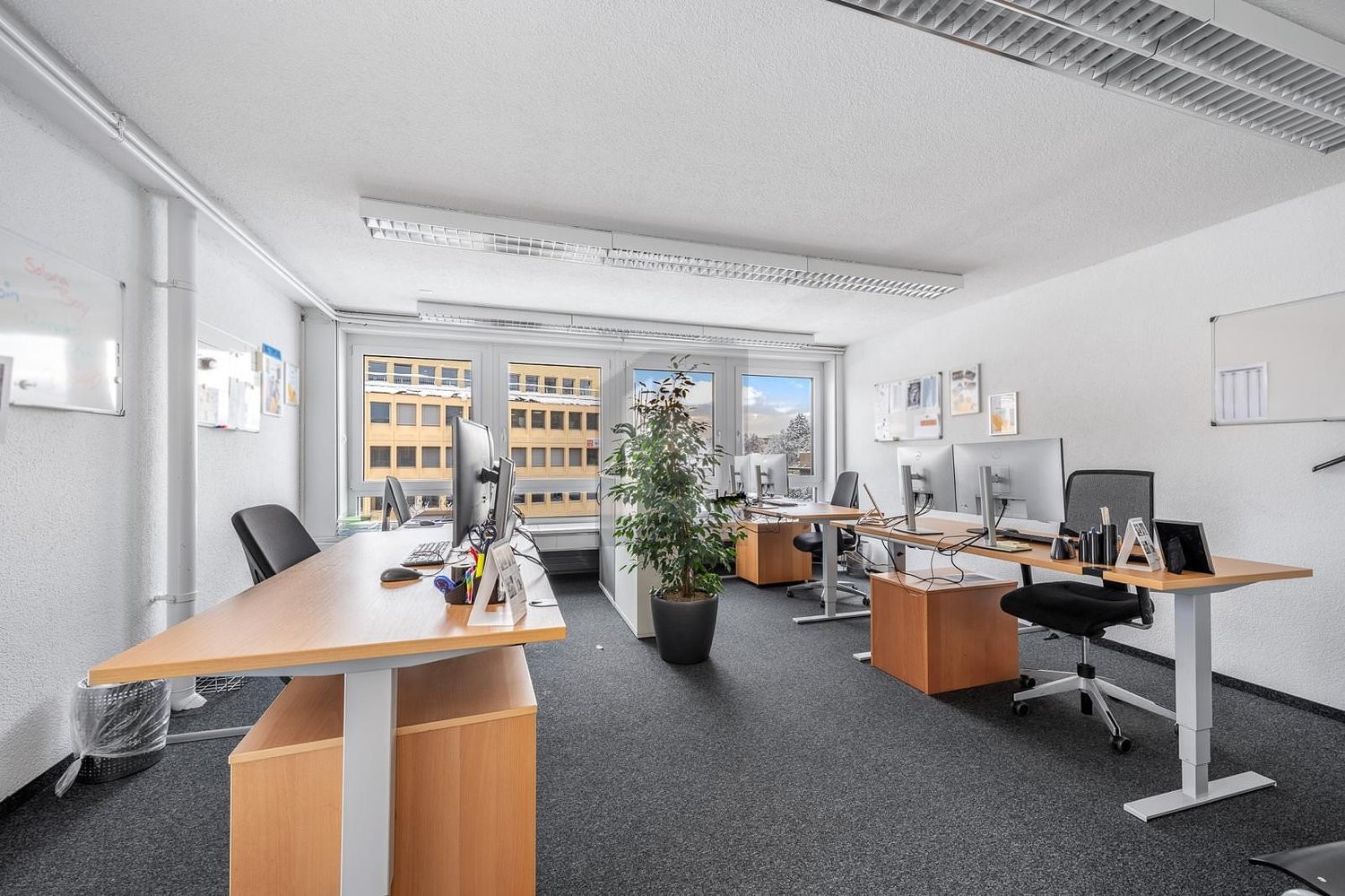 201m² office, photo 1 of 3