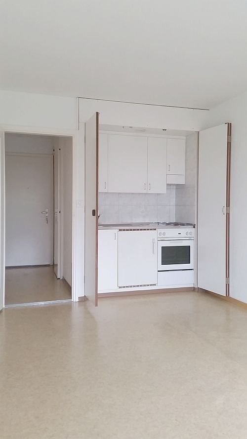 appartement 1 pièce