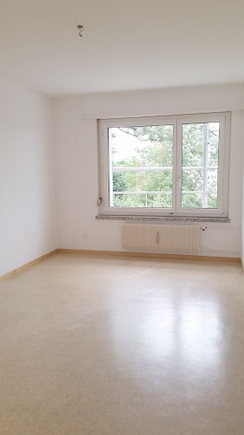 appartement 1 pièce